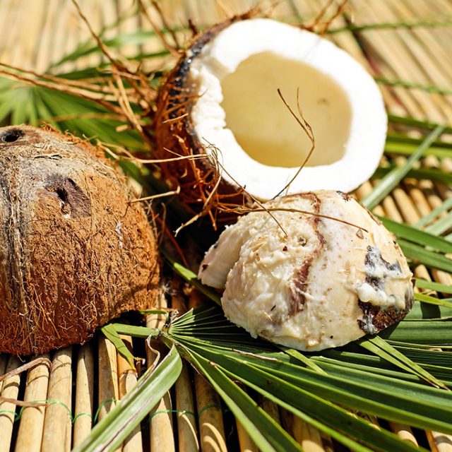 les coco en thailande